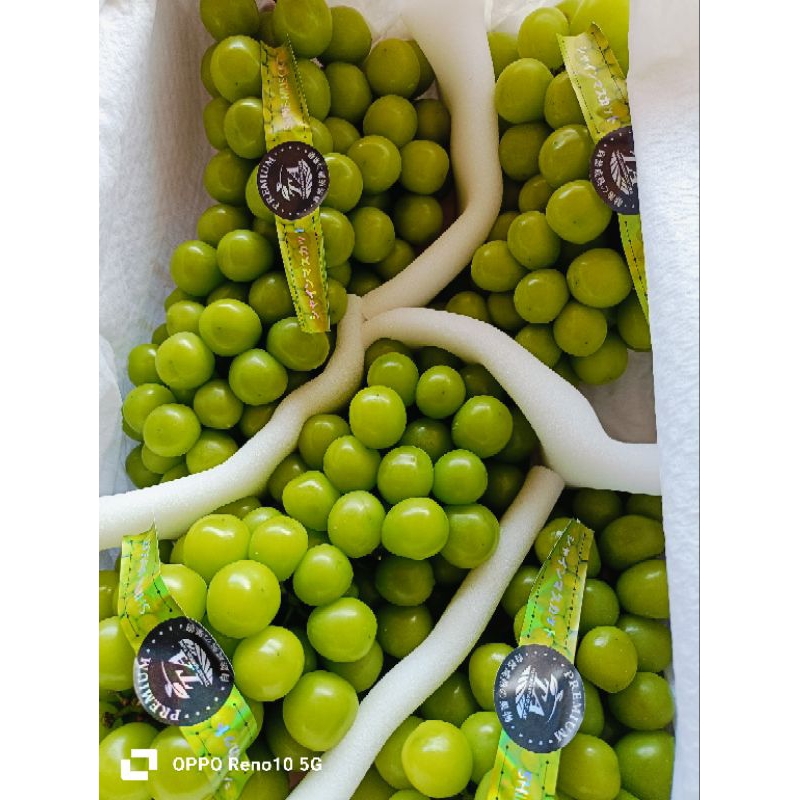 

ANGGUR SHINE MUSCAT 500GR.. KHUSUS GOSEND BANDUNG