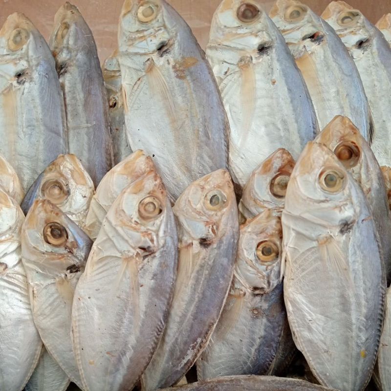 

ikan asin murah termurah ikan asin selar