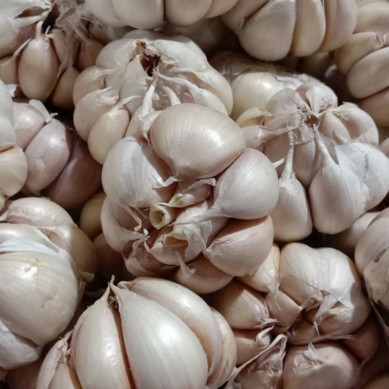 

Bawang Putih Biasa/Honan 1kg