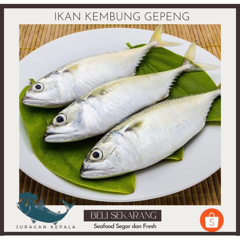

KEMBUNG GEPENG BEKU 1 KG