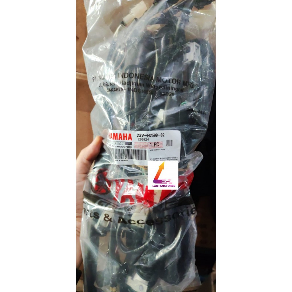 2SV-H2590-02 Kabel Body Xeon GT 125