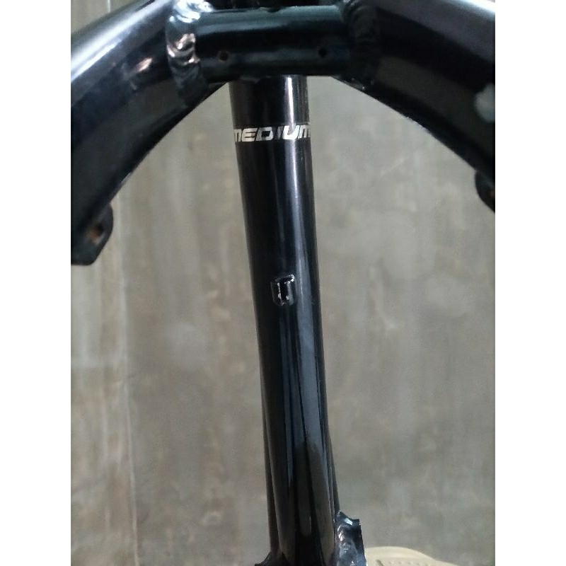 frame dartmoor hornet