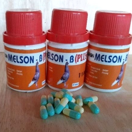 MELSON B BARON MERPATI CIDERA PERKAPSUL