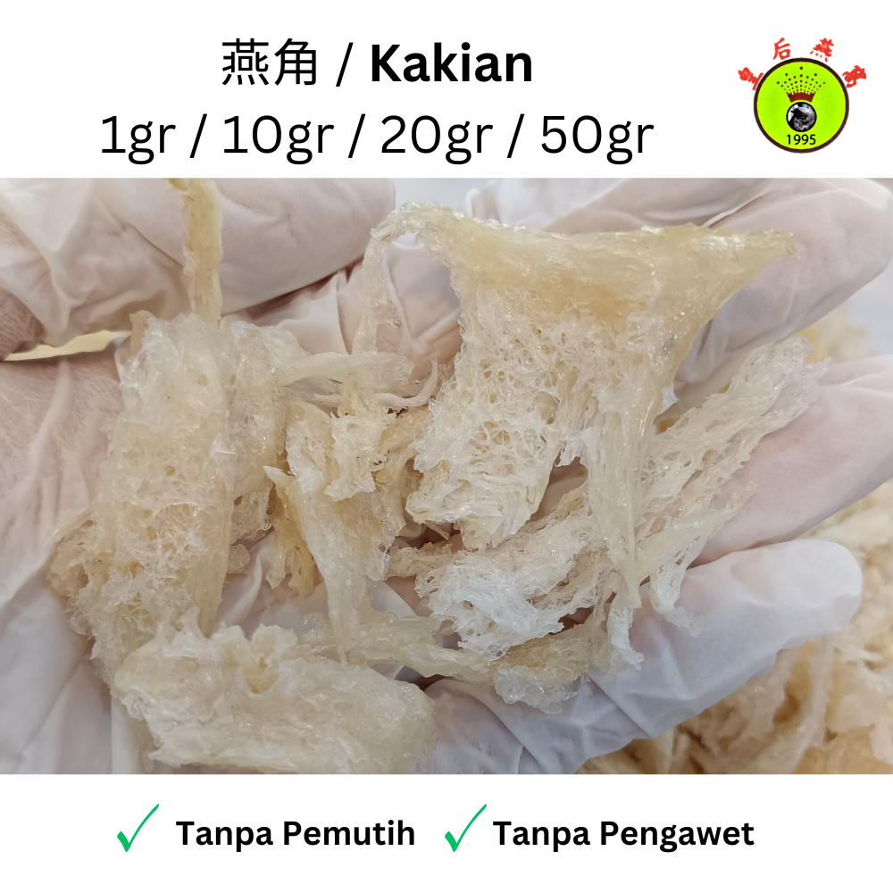 KERING & CUCI BERSIH Natural Sarang Burung Walet Kakian
