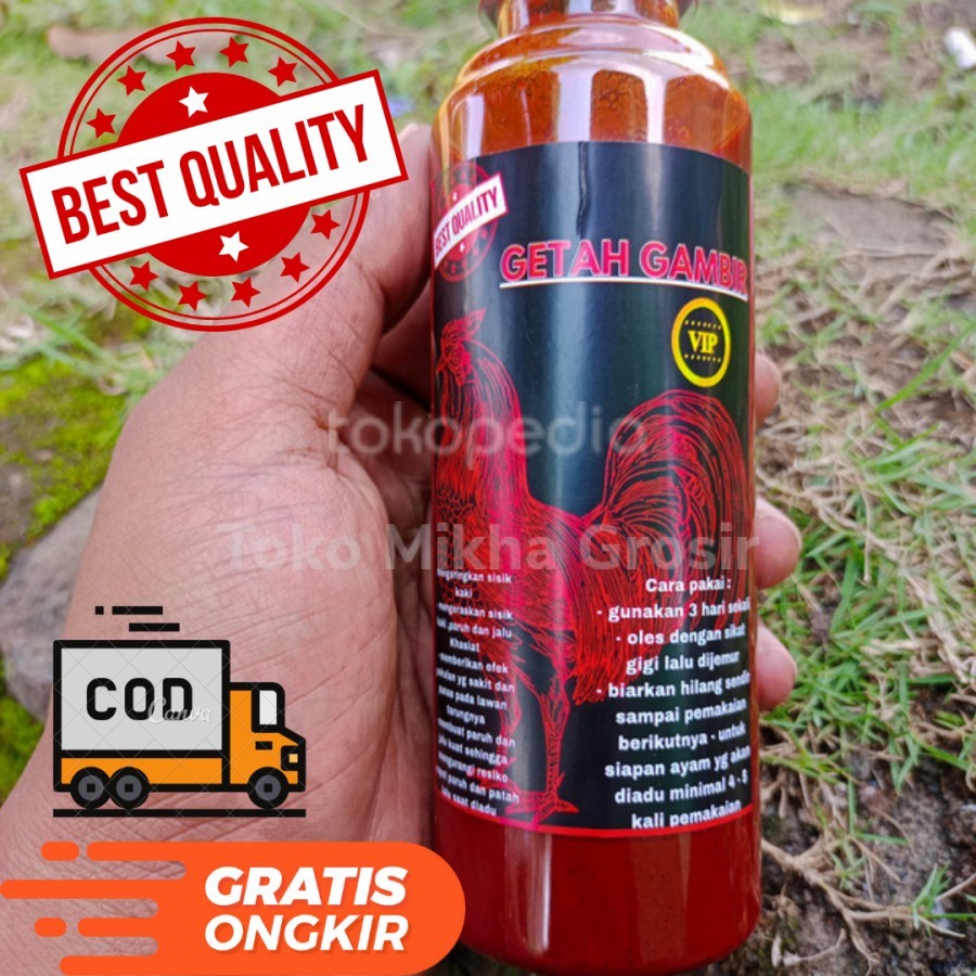 Getah Gambir kaki ayam aduan jago Bangkok super
