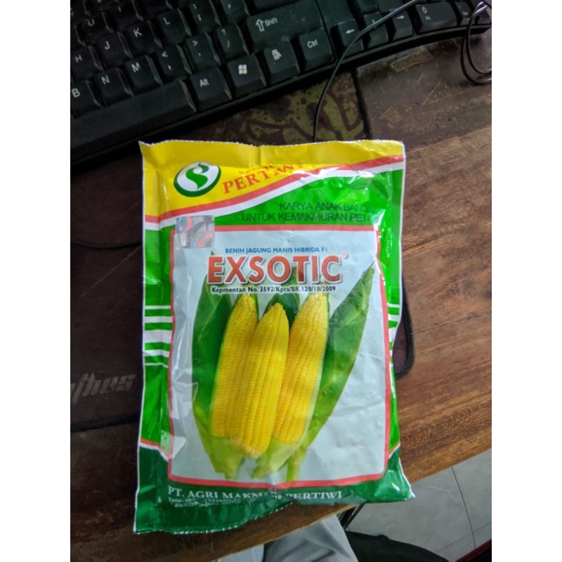 Benih jagung manis exsotic pertiwi