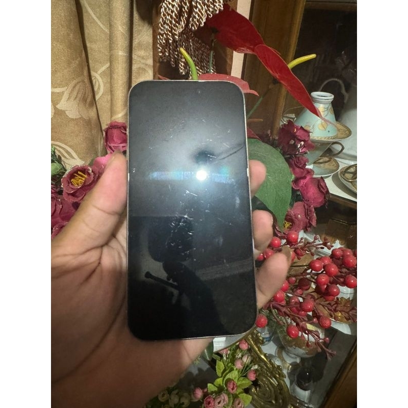 iphone 15pro 256gb inter bypass wifi only