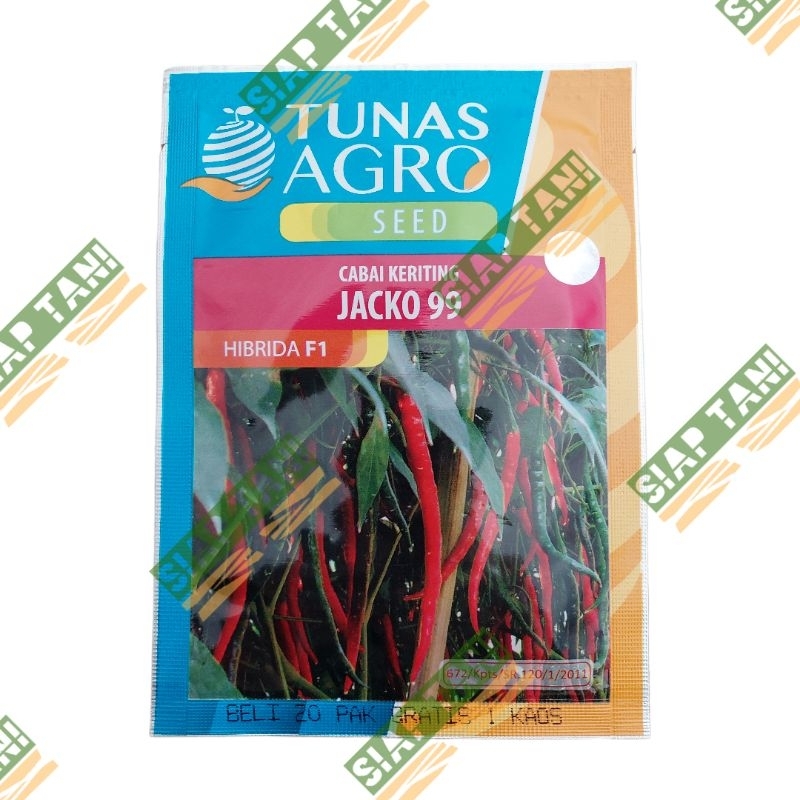 BENIH CABAI KERITING JACKO99 10 GR