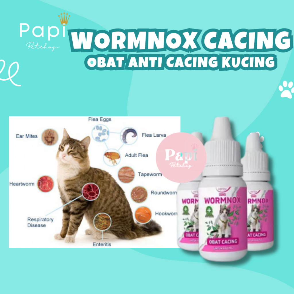 Wormnox Obat Kucing Cacingan Venox Obat Kucing Anti Cacing Ampuh Pembasmi Cacing Kitten Dewasa Cat W