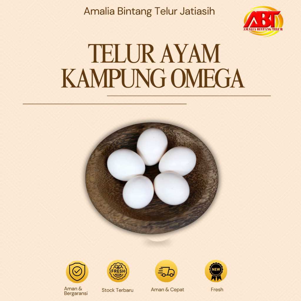 

ABT JATIASIH - Telur Ayam Kampung Omega premium 1 butir FRESH LANGSUNG DARI PETERNAK