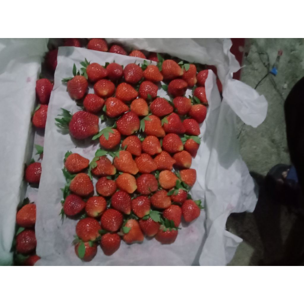 

StrawberryJumbo