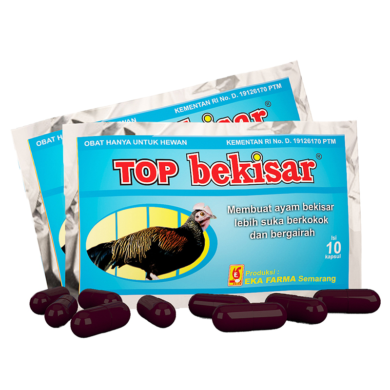 Top Bekisar isi 10 kapsul Vitamin Ayam Bekisar, Ayam Ketawa, Ayam Pelung dan Ayam Hutan