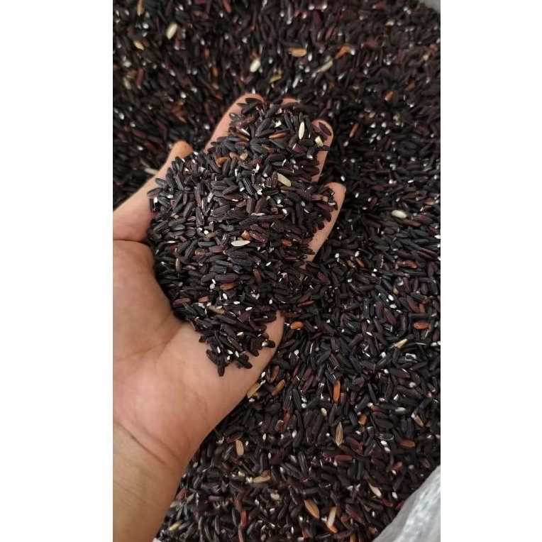 

pulut hitam - ketan hitam - beras ketan hitam super - buno