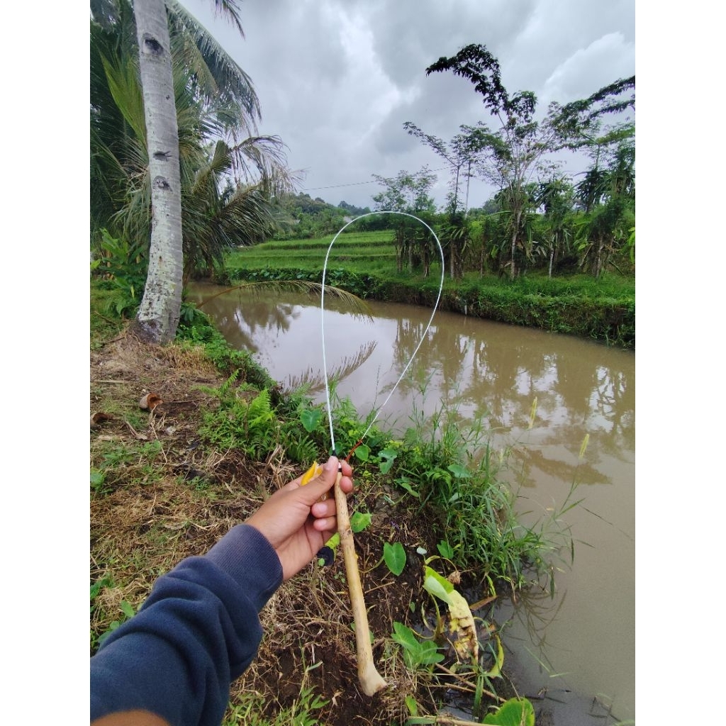 joran wader super lentur