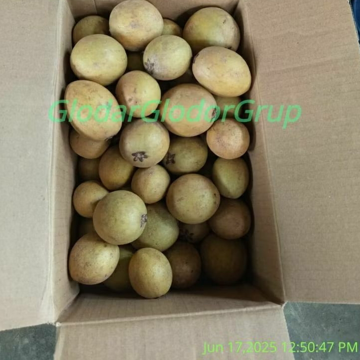 

SAWO MANDU SIAP MATANG 1KG