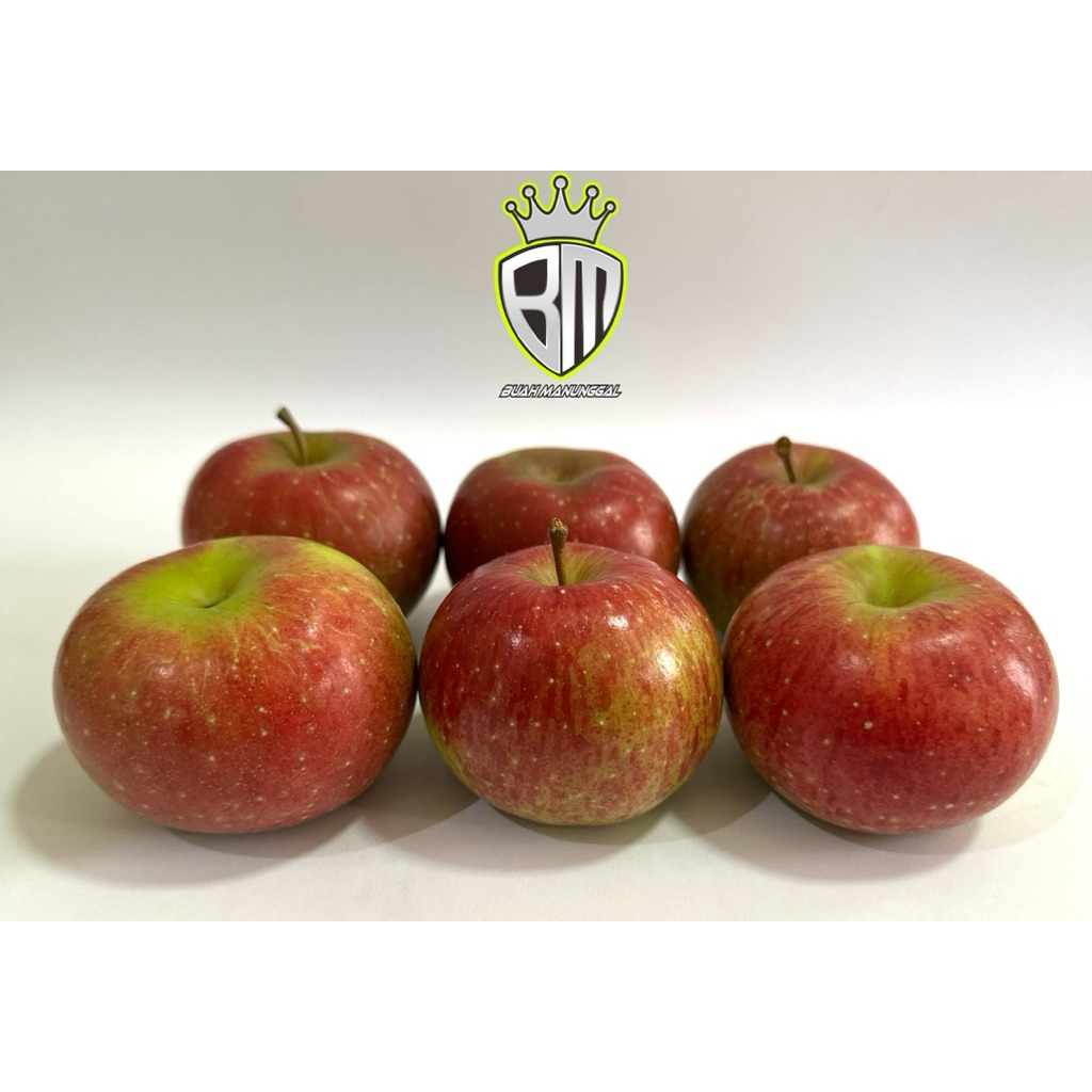 

Apel Malang Rome Beauty Super ukuran 5-7 buah