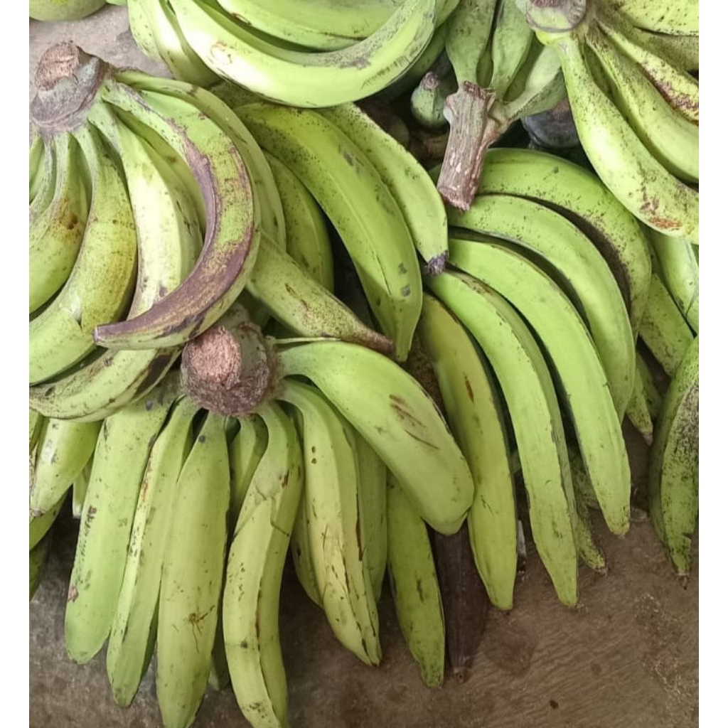 

paket hemat pisang tanduk madu muria 10 biji
