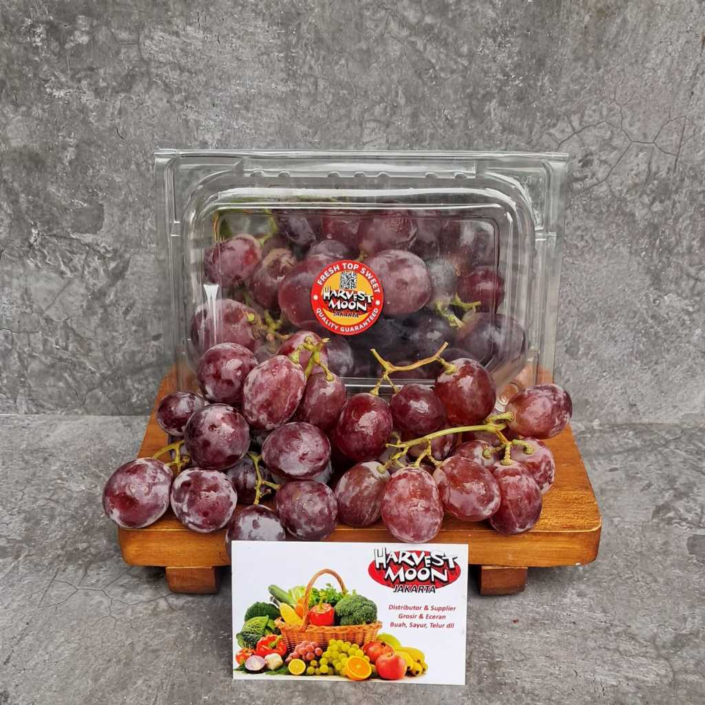 

HarvestMoon Anggur Red Globe Per Pack
