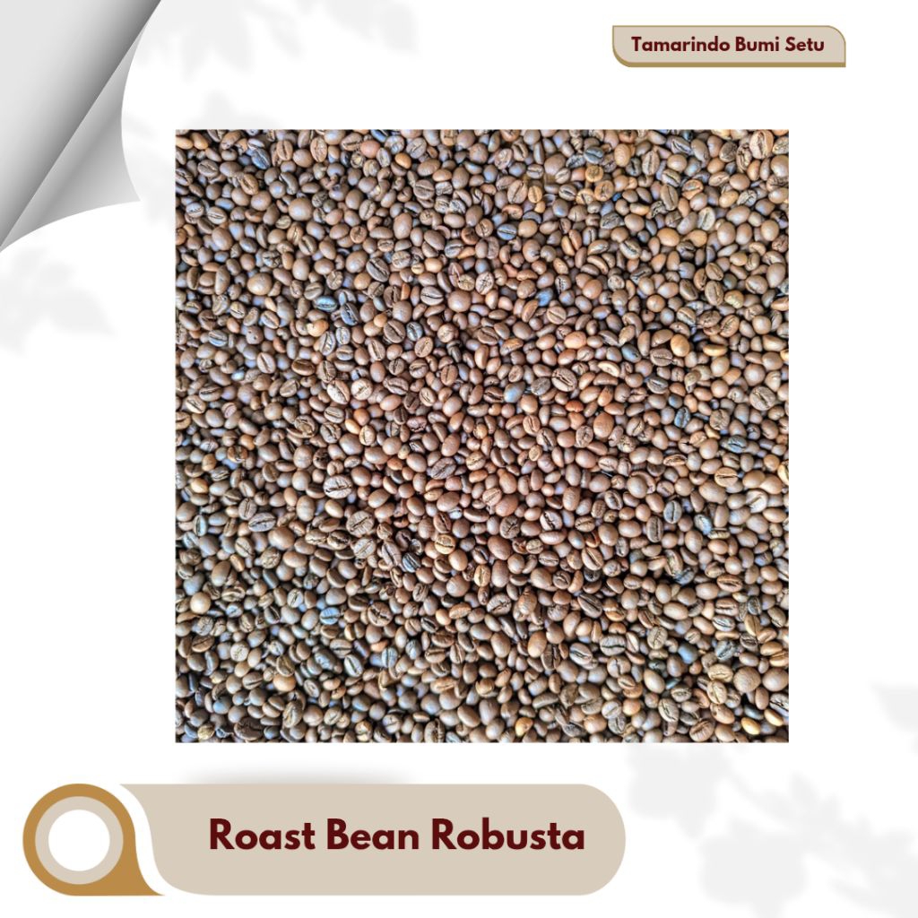 

Biji Kopi Robusta Sangrai (Roast Bean) – Fresh Roast, Cita Rasa Kuat – 250g/500g/1kg