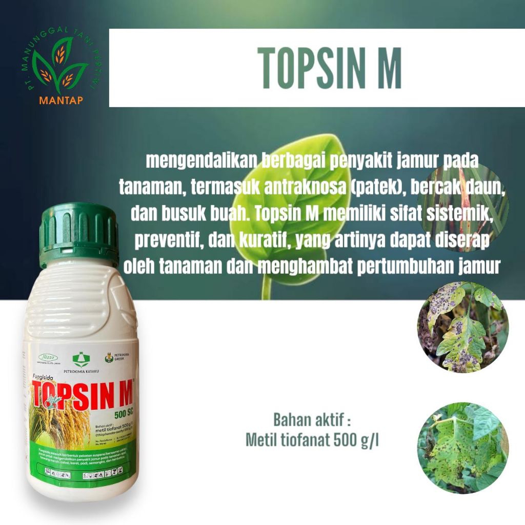 FUNGISIDA TOPSIN M 500ML