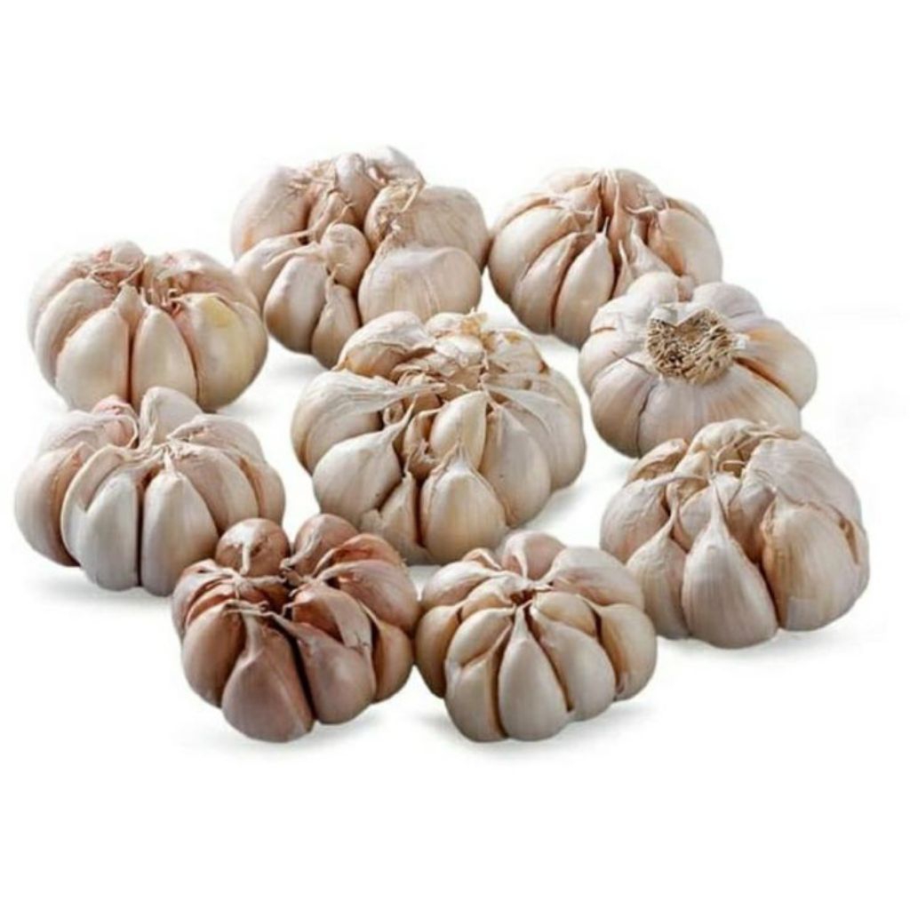 

[PS] Bawang Putih Banci