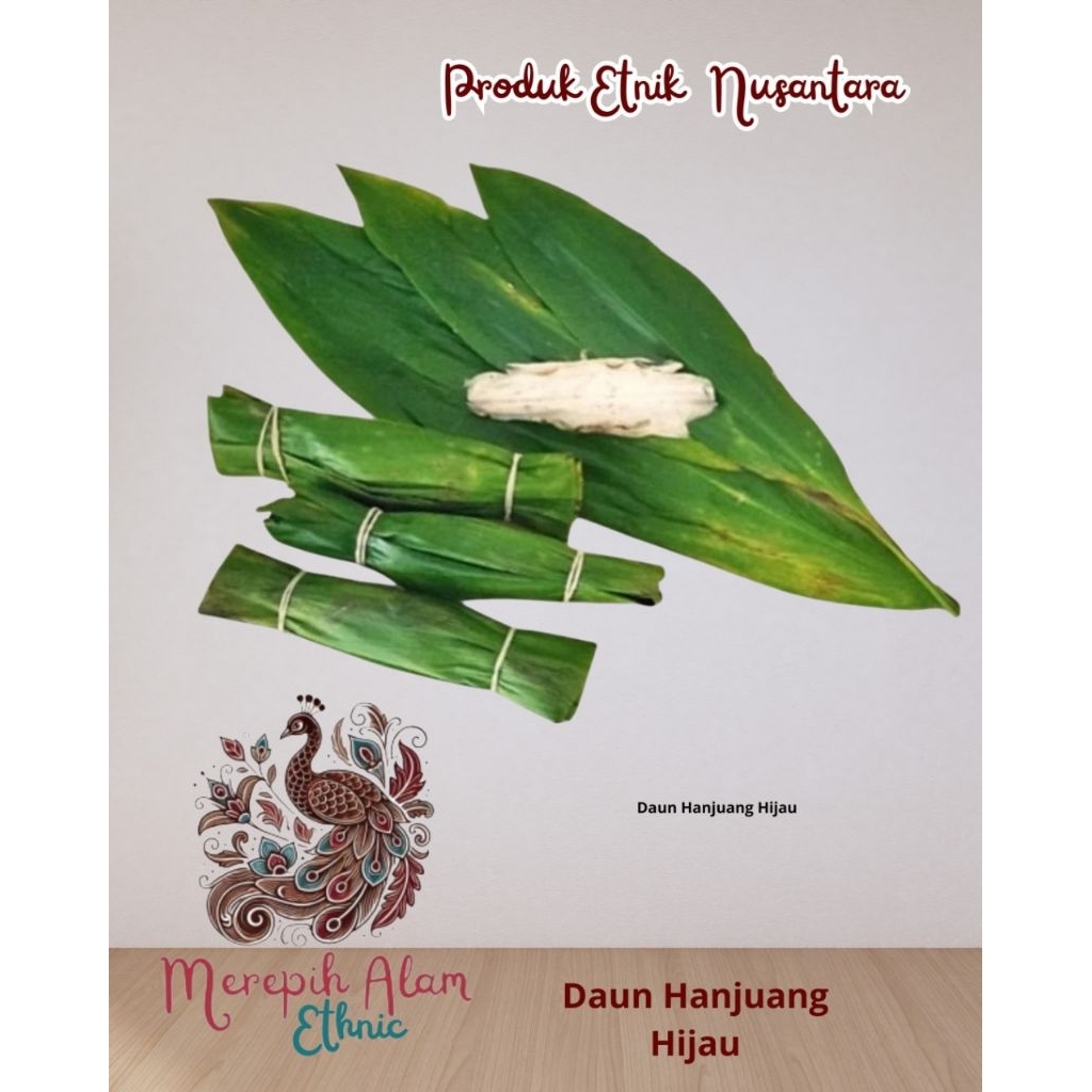 

Daun Hanjuang Hijau