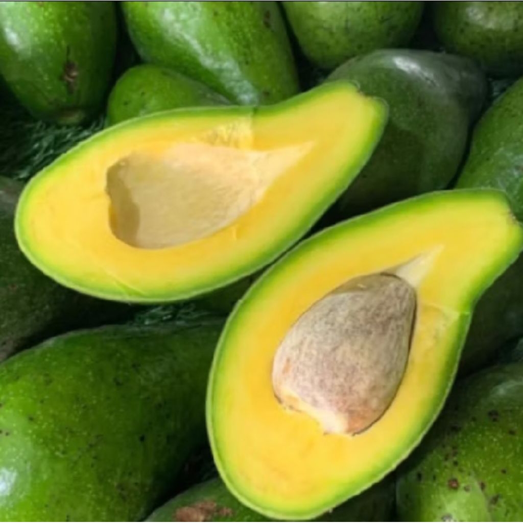 

promo !!!! Alpuket mentega tua super kuning manis legit 1kg isi 5-6-7 sufer persh