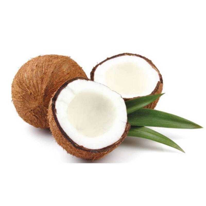 

Kelapa Tua Bahan Santan/Kelapa Tua Utuh/Buah Kelapa/Kelapa Kering