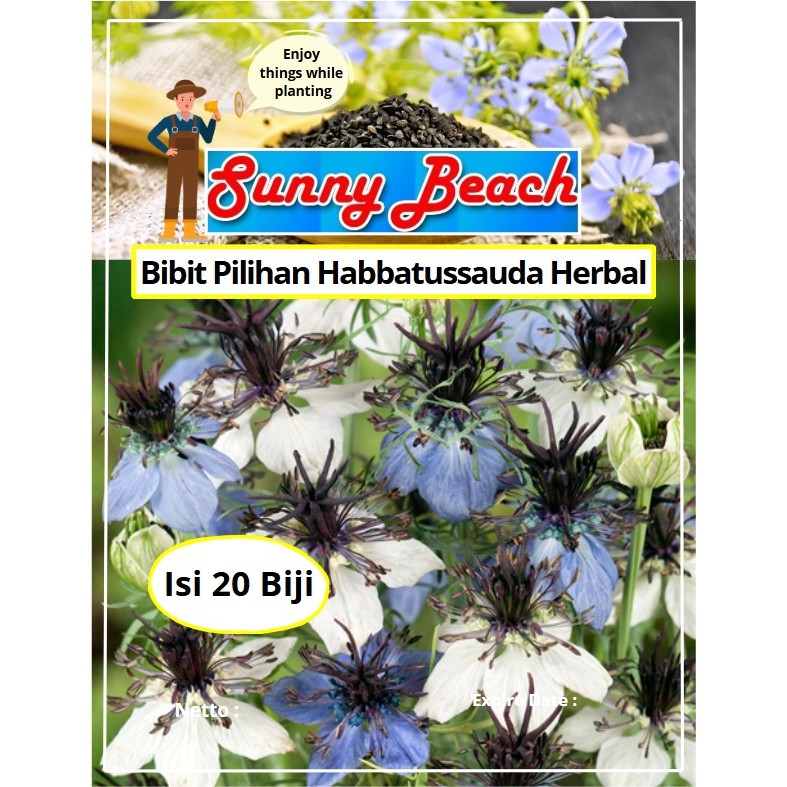 Bibit Pilihan Habbatussauda Herbal | Biji Benih Habbatussauda Herbal | Jintan Hitam