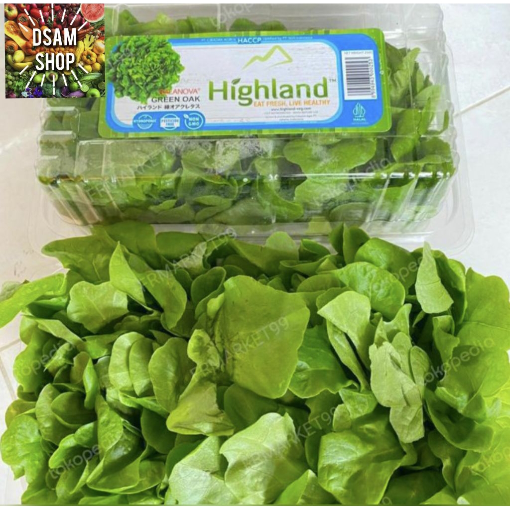 

Highland Salanva Green Oak Fresh / salad green oak / pack 250 gr