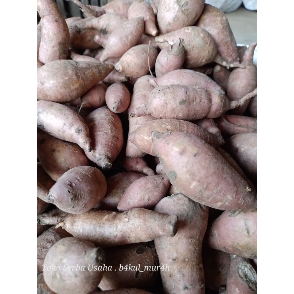 

1 Kg - Ubi Madu Oranye | Ubi Orange| Cilembu Oren Isi 10+
