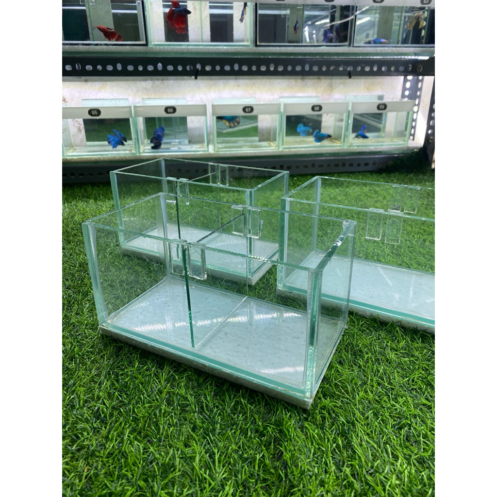 aquarium  mini ukur 20.10.10 skat kaca 5mm full bening/aquarium guppy/soliter cupang/aquarium kaca