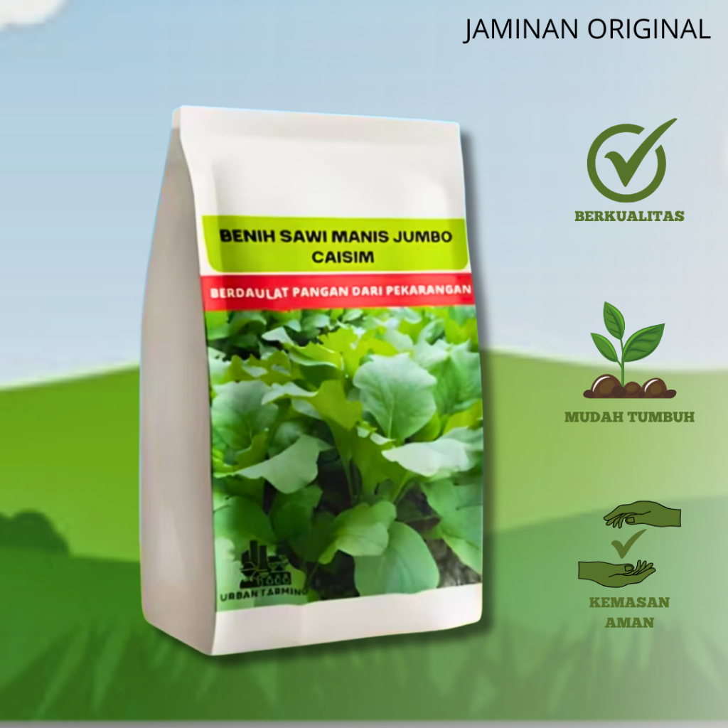 Benih Caisim Sawi Manis Jumbo 1 kilogram Urban Farming Unggul Lebat Panen Melimpah