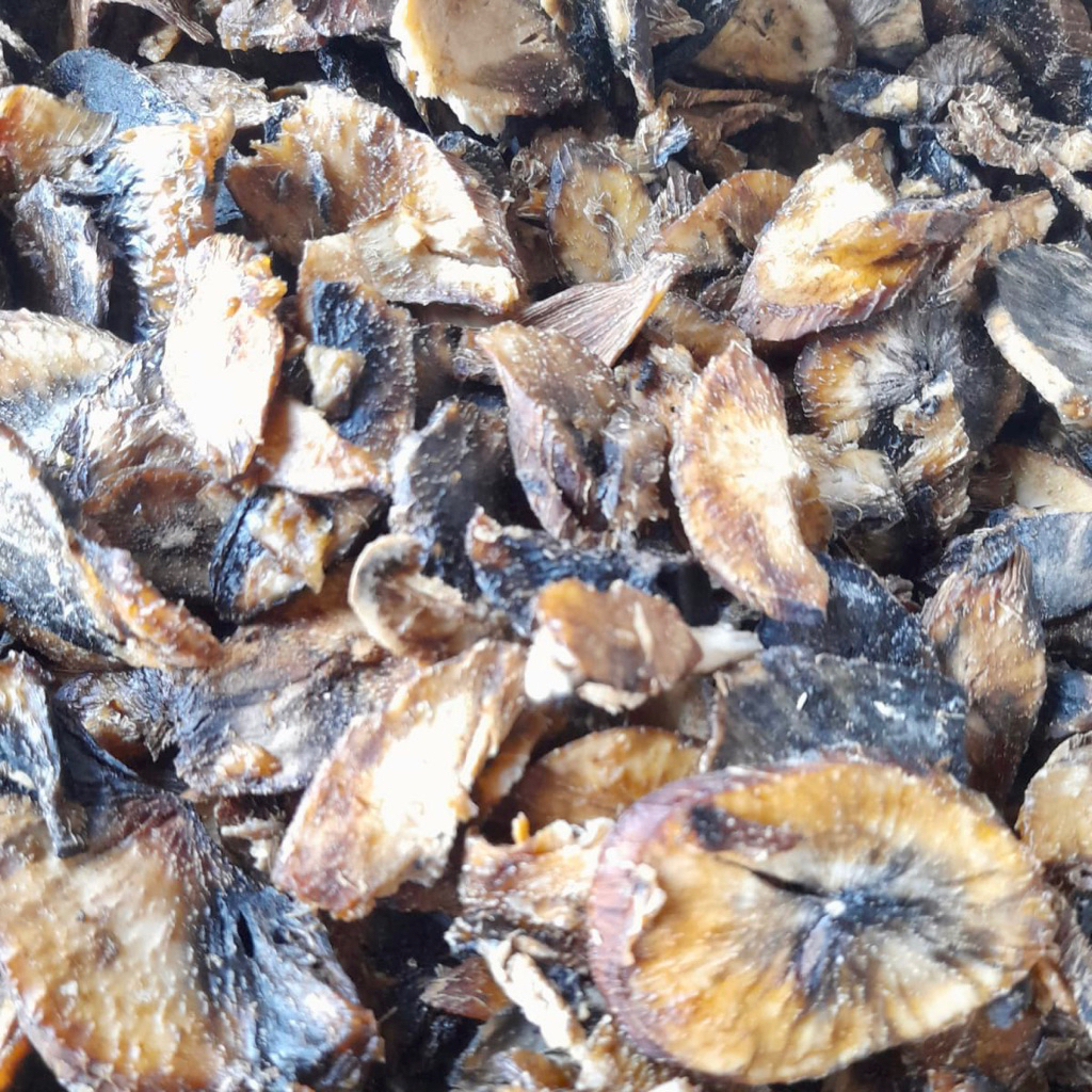 

(Omah Opak) Gatot / Gathot singkong instan 250gr