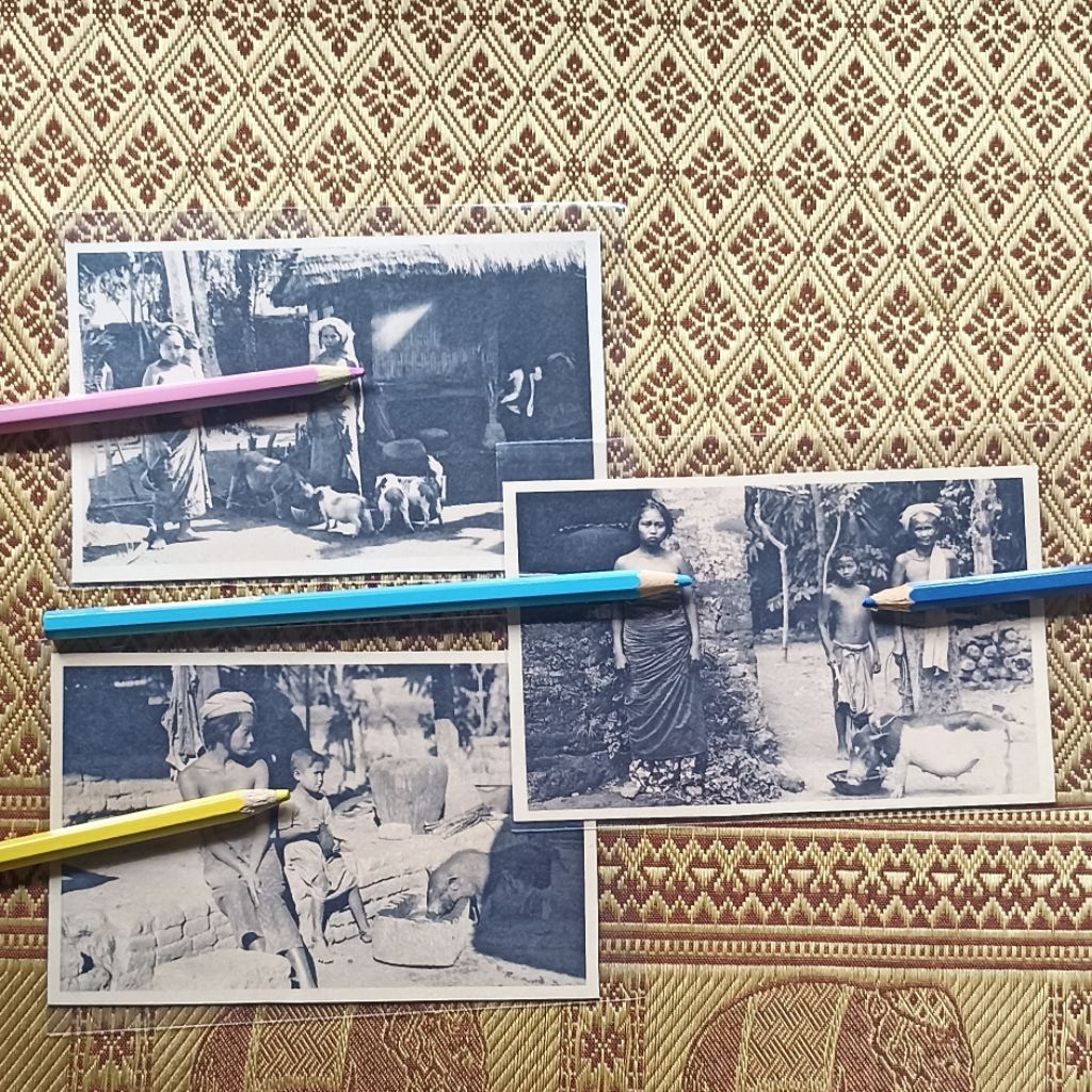 

Paket kartu pos peternak babi di Bali masa Hindia Belanda NOS PPC postcard foto Tropenmuseum