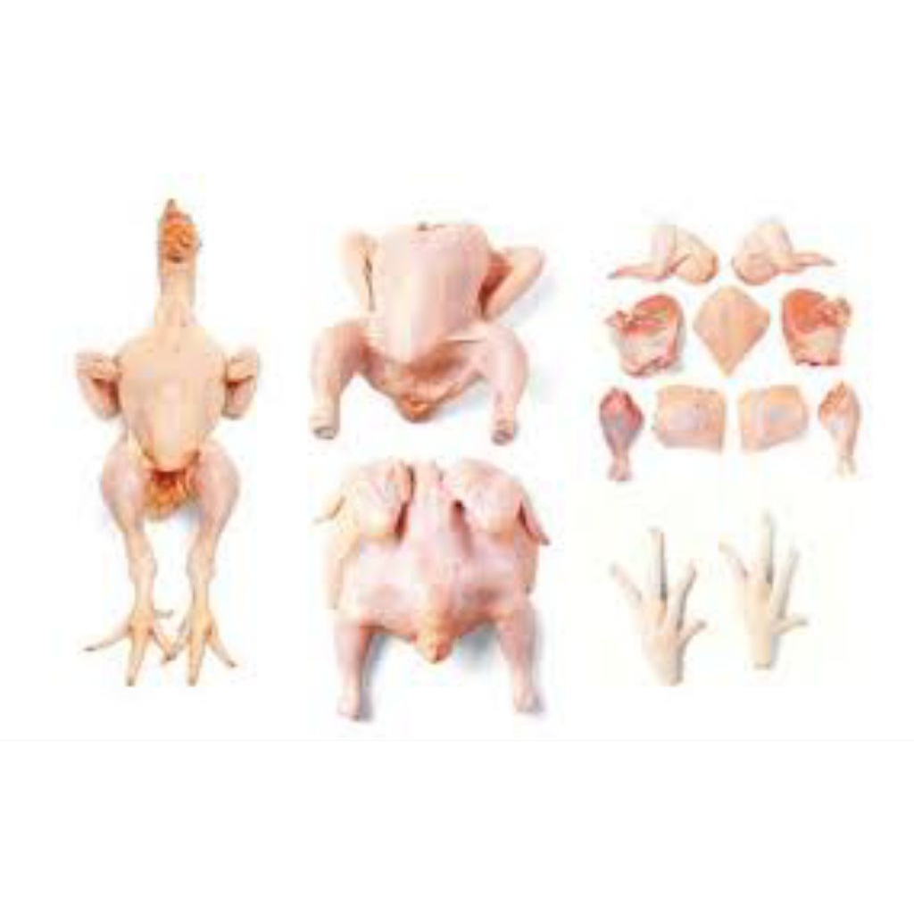 

AYAM POTONG BROILER (UTUH) 1KG
