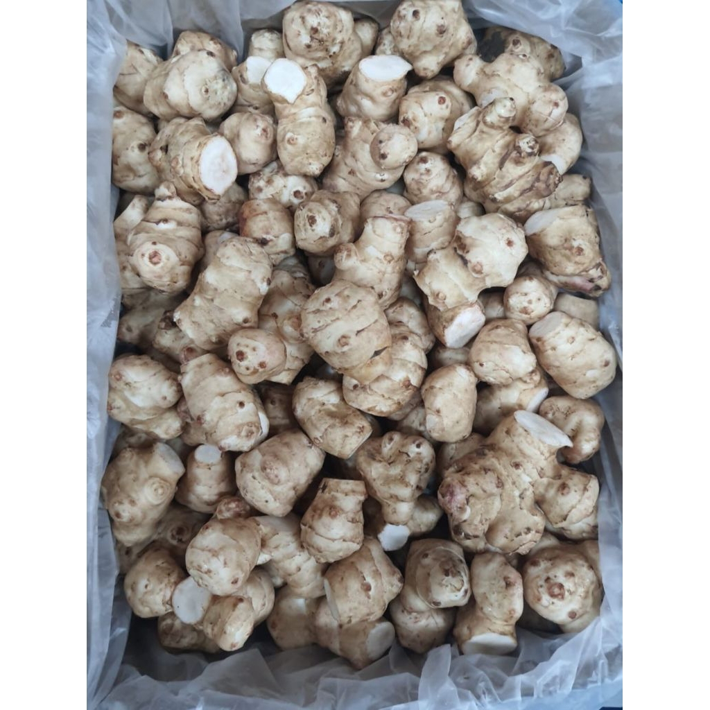 

Artichoke Yerusalem 1 Kg