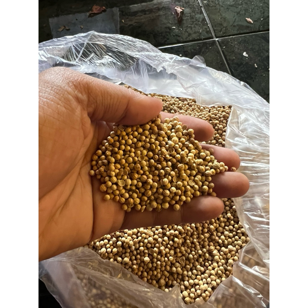 

Biji Ketumbar Putih Alami Premium Tumbar 250 gram dan 100 gr