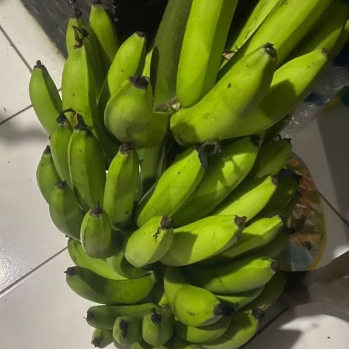 

Buah Pisang Mentah LNT Pisang Bangkaulu