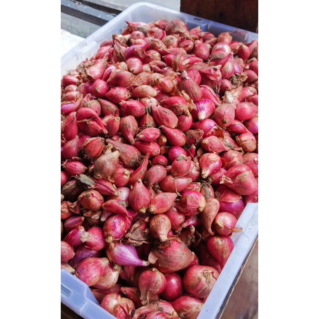 

Bawang Merah Brebes ukuran Campur 1/2 kg