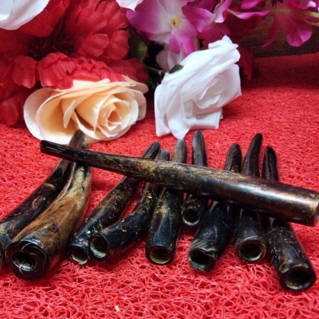 pipa Pipo pipe once akar Bahar serat emas asli