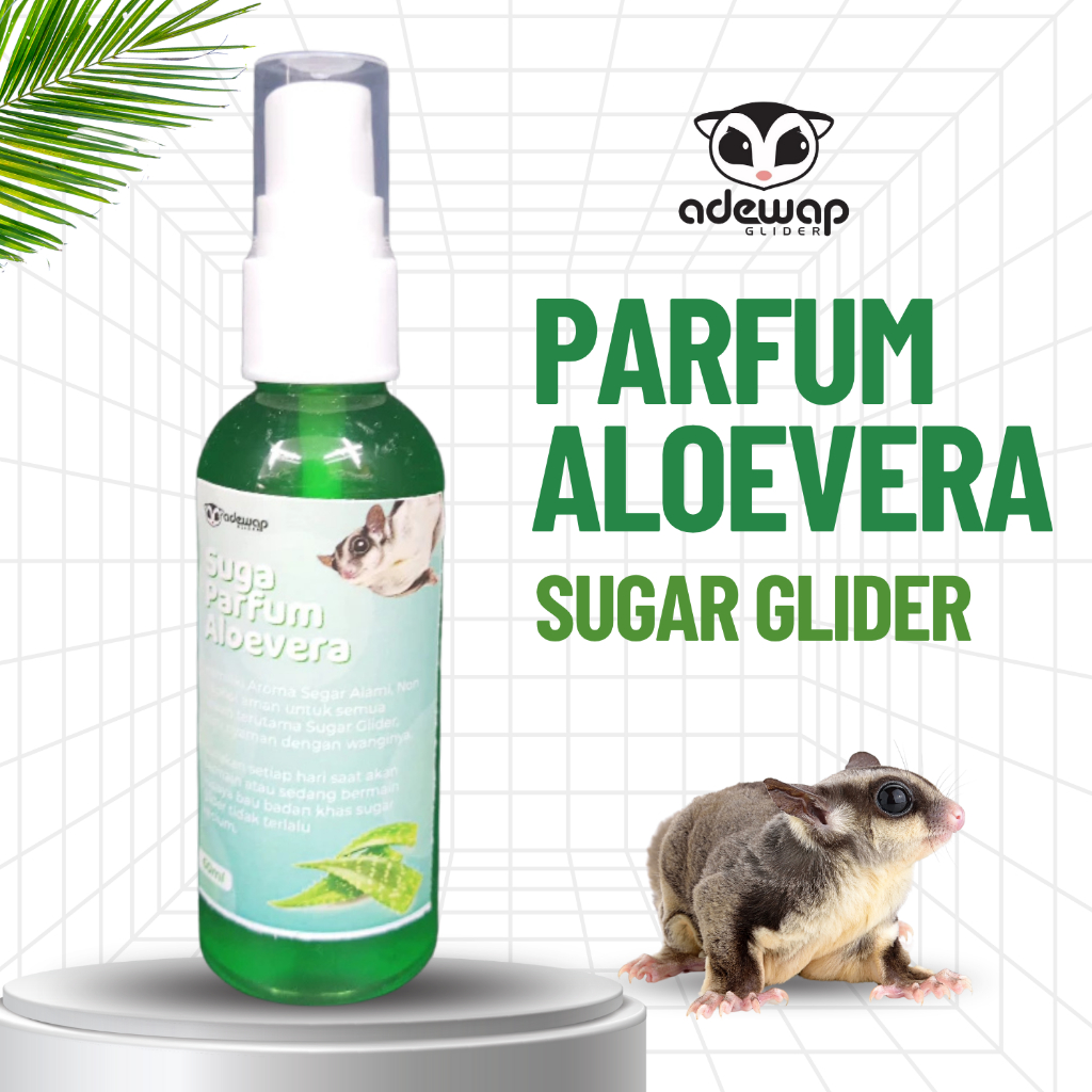 ADEWAP GLIDER Suga Aloevera Parfume Spray Sugar Glider