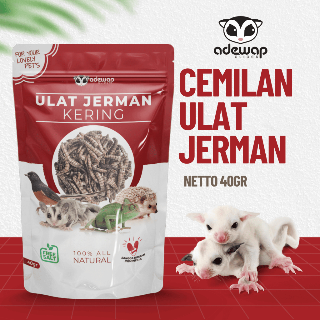 ADEWAP GLIDER Ulat Jerman Kering Dried Super Worm Cemilan Sugar Glider - 40gr