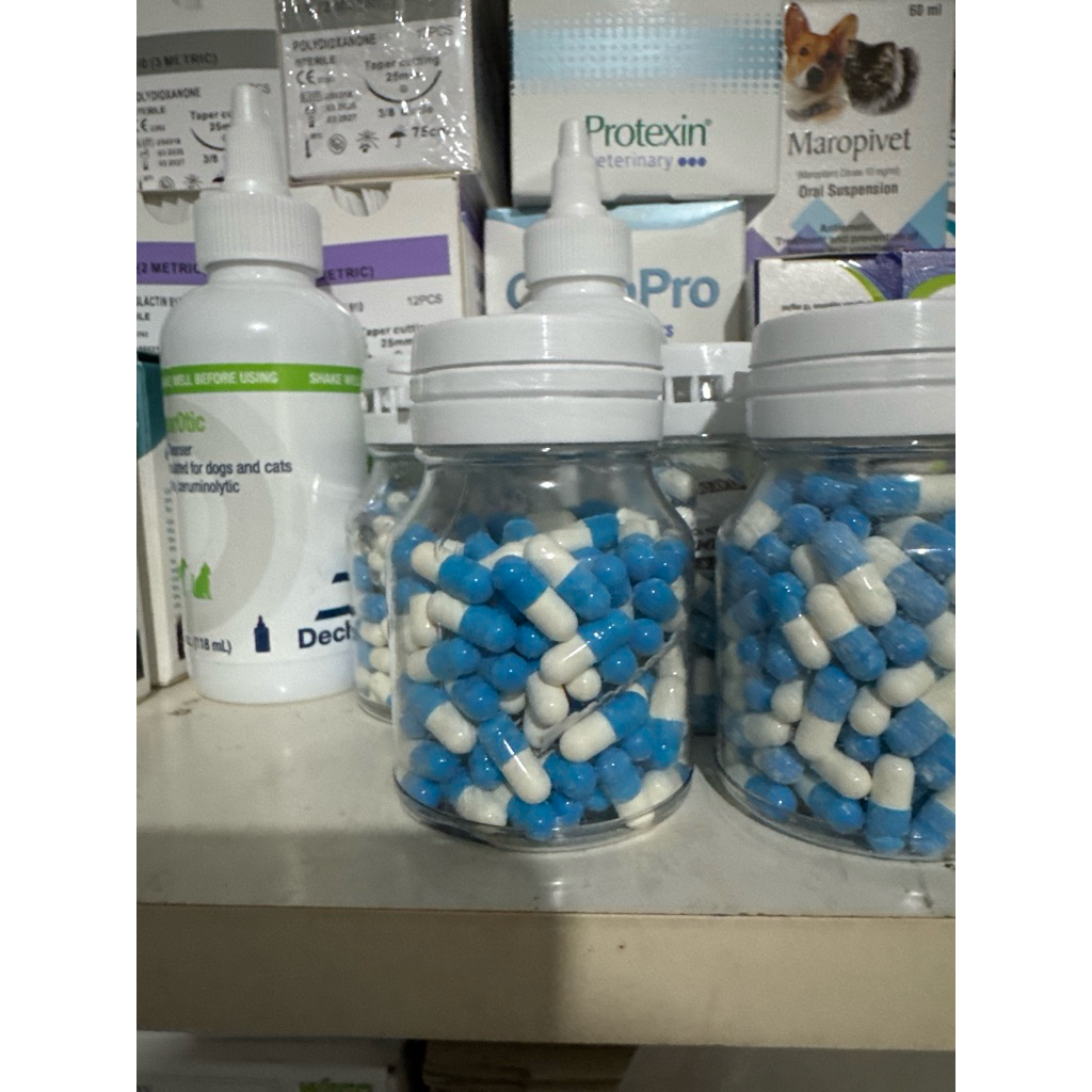 Itraconazole 50mg Obat Jamur untuk Anjing dan Kucing Ampuh Generik per capsule