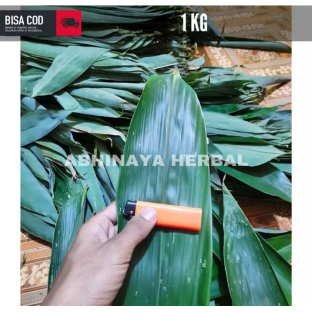 

Daun Bambu Segar - Daun Bambu Segar Khusus Bacang 1kg