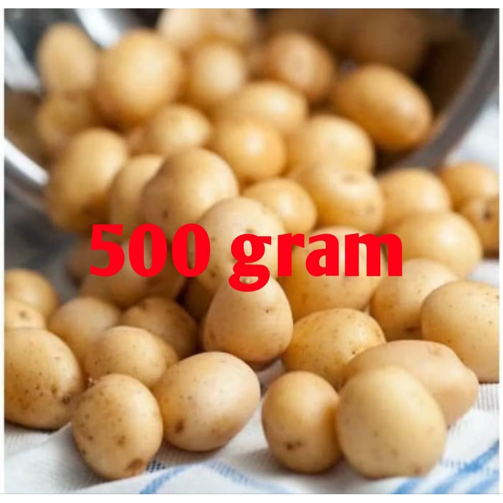 

Kentang Dieng Wonosobo 500gr cocok untuk rendang ukuran kecil