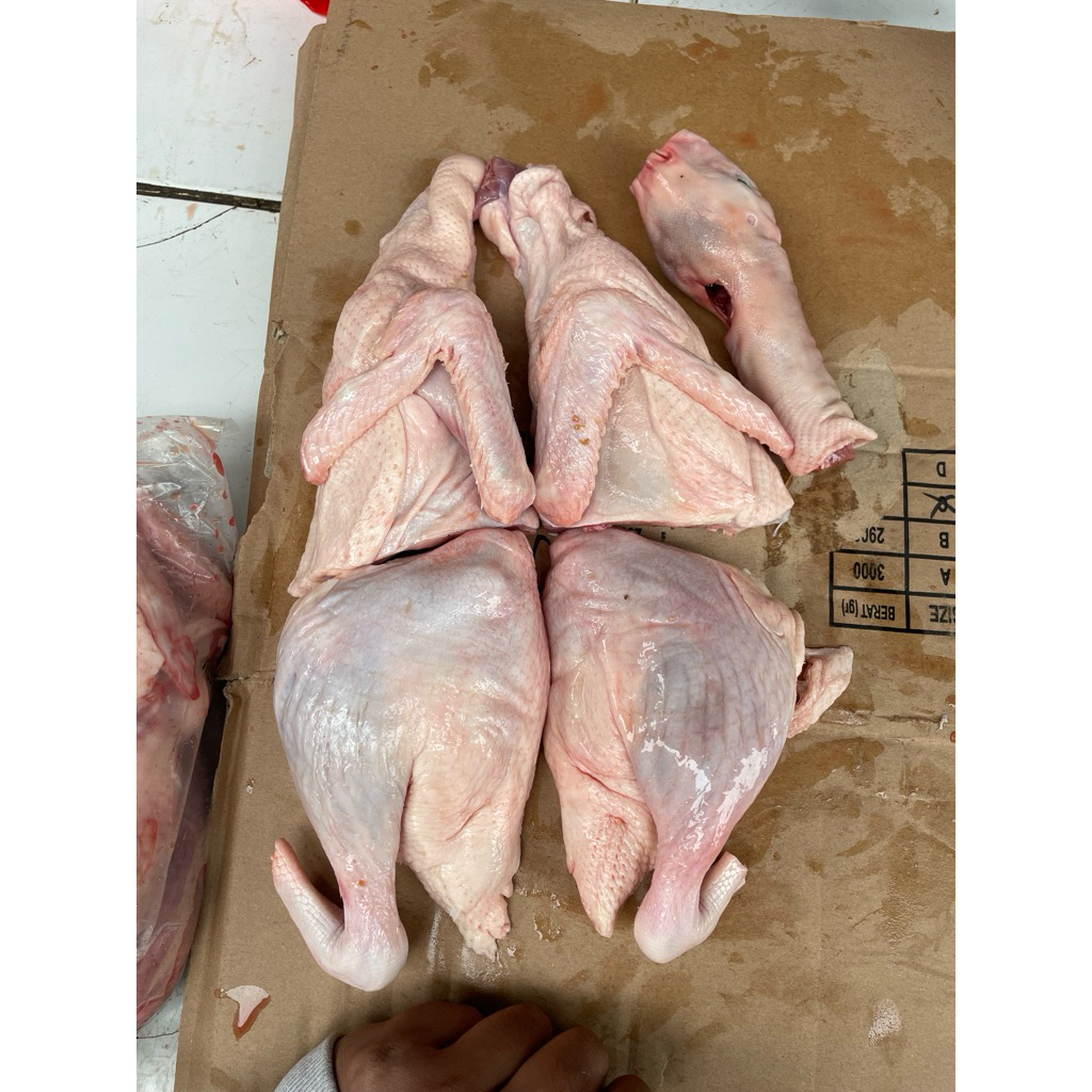 

bebek parting 4