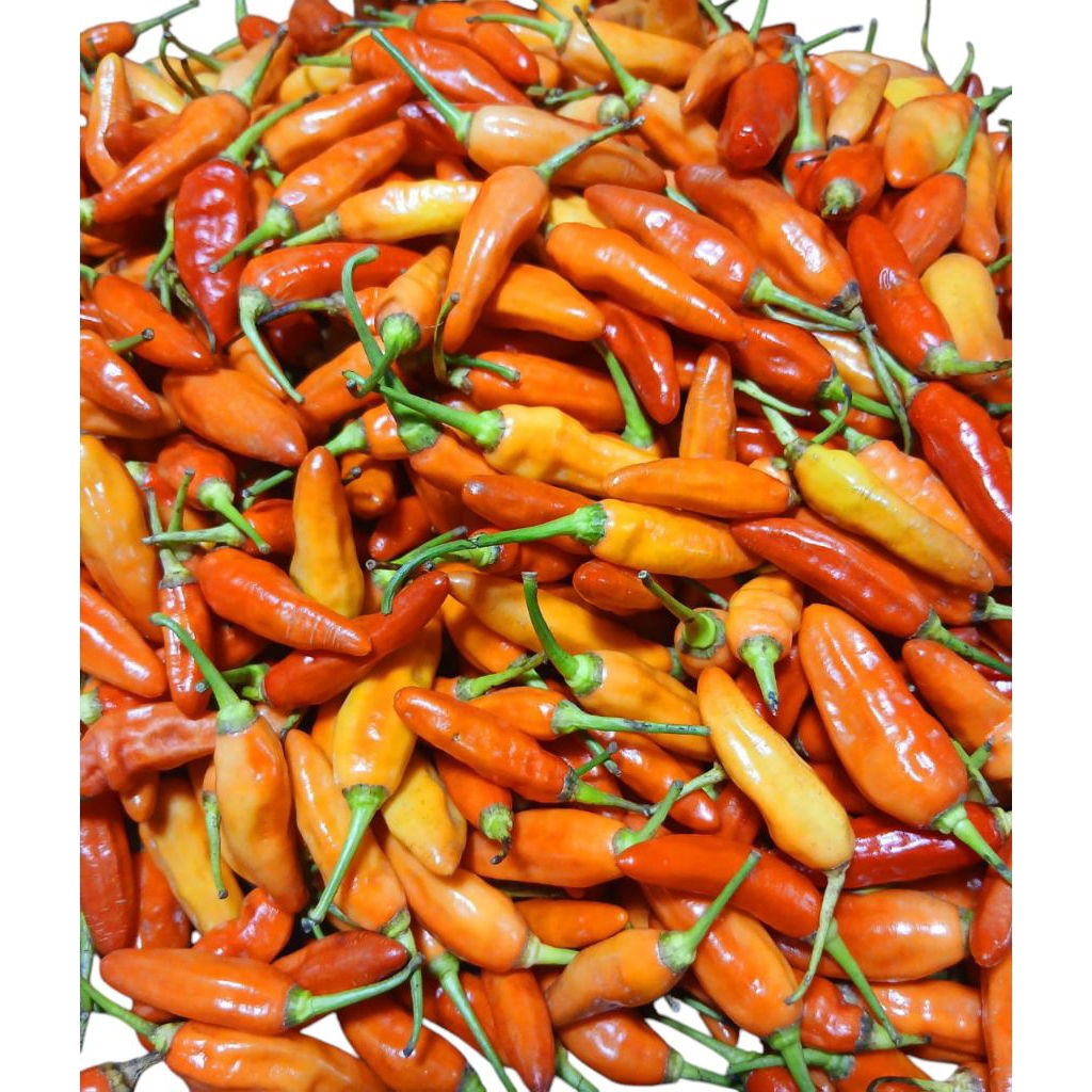 

Cabe Rawit Merah 250 gram