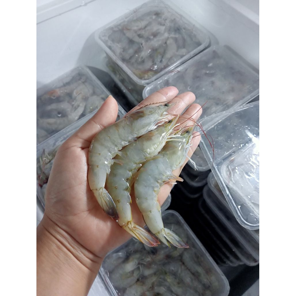

udang vaname 1kg UK50