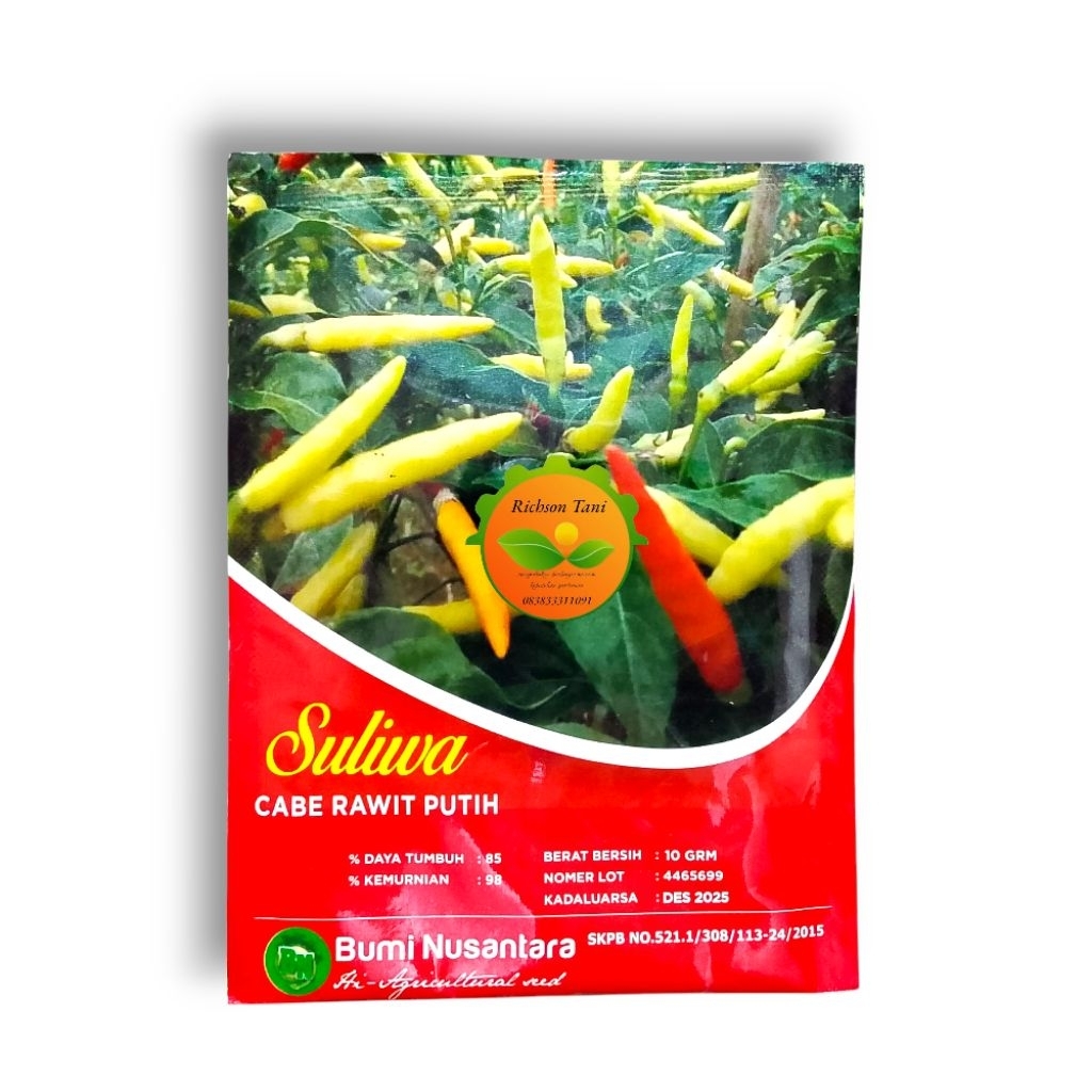 Benih Cabe Rawit Putih Suliwa 10 Gram - Bumi Nusantara